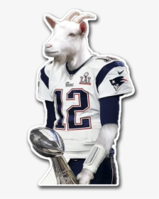 Tom Brady Goat - Tom Brady Goat Head, HD Png Download, Transparent PNG