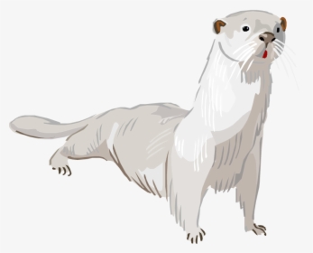 Otter Png Transparent - Dog, Png Download, Transparent PNG