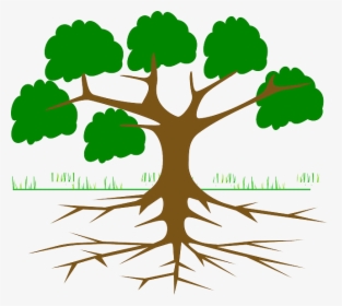 Tree, Branches, Root, Eco, Ecology, Nature, Plant - Root Cause Tree Analysis, HD Png Download, Transparent PNG