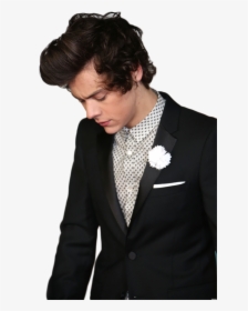 Harry Styles Transparent Png - Harry Styles Im Sorry, Png Download, Transparent PNG
