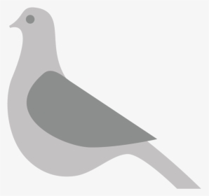 Transparent Pigeon Png - Stock Dove, Png Download, Transparent PNG