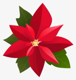 Garland Clipart Poinsettia, HD Png Download, Transparent PNG