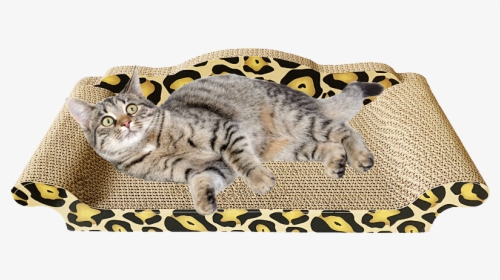 Cat Grab Board Pet Cat Toy Cat Sofa Cat Nest Corrugated - Dragon Li, HD Png Download, Transparent PNG