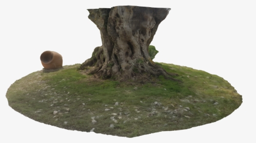Tree Trunk, An Old Treasure From The Nature Born - Tree Stump, HD Png Download, Transparent PNG