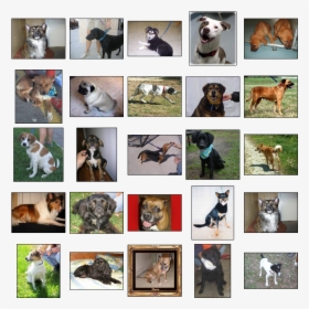 Download - Machine Learning Python Dog And Cats, HD Png Download, Transparent PNG