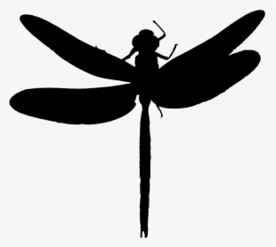 Dragonfly Insect Clip Art Line Silhouette - Net-winged Insects, HD Png Download, Transparent PNG