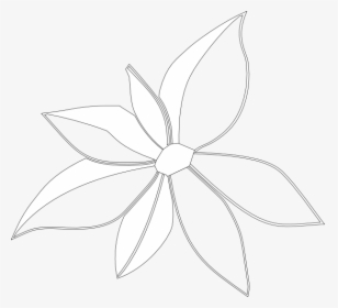 Flower Outline Imperfect Svg Clip Arts - Jasmine, HD Png Download, Transparent PNG