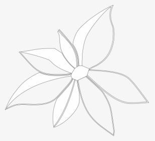 Flower Outline Imperfect Svg Clip Arts Jasmine Hd Png Download Transparent Png Image Pngitem