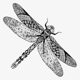 Tattoo Dragonfly Photography Insect Drawing Stock Clipart - Dragonfly Drawing, HD Png Download, Transparent PNG