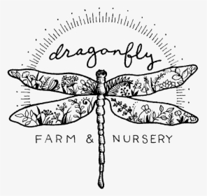 Dragonfly In Text, HD Png Download, Transparent PNG