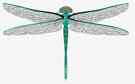 Clip Art Symbolism And Meaning Off - Big Dragonfly Clipart, HD Png Download, Transparent PNG