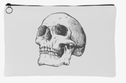 Hand Drawn Anatomical Human Skull, HD Png Download, Transparent PNG