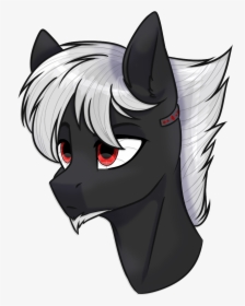 Cloud-fly, Bust, Facial Hair, Goatee, Male, Oc, Pony, - Male Pony, HD Png Download, Transparent PNG