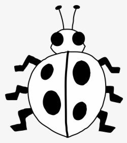 Ladybug Outline Ladybug On Flower Clipart Free Images - Ladybug Outline, HD Png Download, Transparent PNG