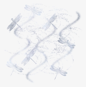 Dragonfly Masked Texture 800 X - Sketch, HD Png Download, Transparent PNG