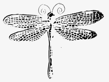 Dragonfly Clipart Purple - Black And White Dragonfly Drawing, HD Png Download, Transparent PNG