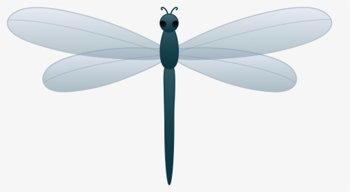 Download Dragonfly Png Transparent Picture For Designing - Dragonfly Clipart Png, Png Download, Transparent PNG