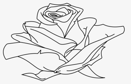 Line Art Drawing Clip Art - Line Art Rose In Line Drawing, HD Png Download, Transparent PNG