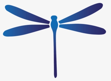 Damselfly, HD Png Download, Transparent PNG