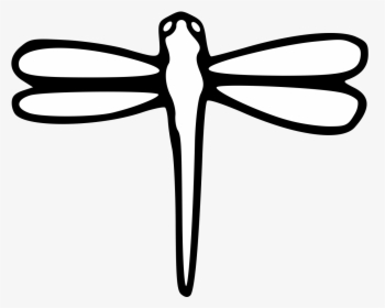 Dragonfly Pdf, HD Png Download, Transparent PNG