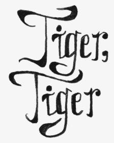 Tiger Written In Different Fonts, HD Png Download, Transparent PNG