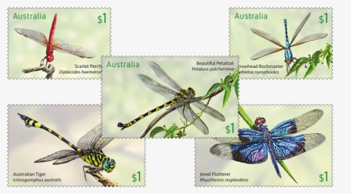 Australia Post Dragonfly Stamps, HD Png Download, Transparent PNG