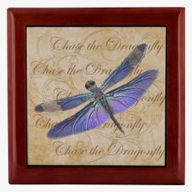 Dragonfly Png, Transparent Png, Transparent PNG