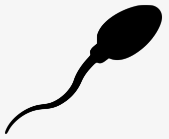 Sperm - Sperm Vector Png, Transparent Png, Transparent PNG
