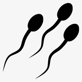 Sperm Cells - Sperm Cell Clipart, HD Png Download, Transparent PNG