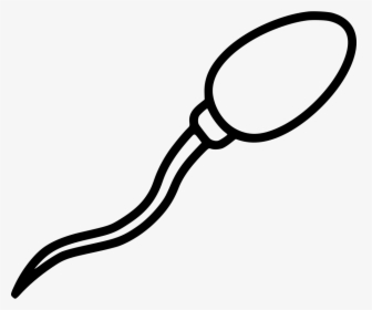 Sperm - Imagenes De Espermatozoides Para Dibujar, HD Png Download, Transparent PNG