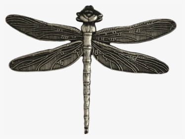 Hawker Dragonflies, HD Png Download, Transparent PNG