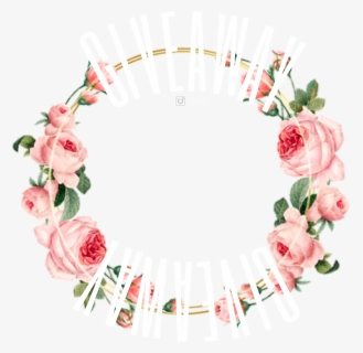 #sticker #circle #circleframe #png #roses #giveaway - Hybrid Tea Rose, Transparent Png, Transparent PNG