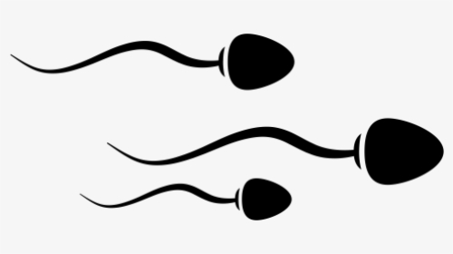Class Lazyload Lazyload Mirage Cloudzoom Featured Image - Sperm Icon, HD Png Download, Transparent PNG