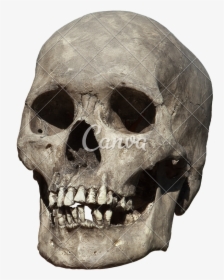 Clip Art Old Weathered Photos By - Old Human Skull Png, Transparent Png, Transparent PNG
