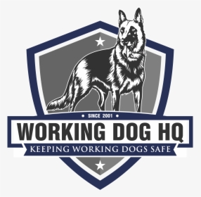 Working Dog Hq - Police Dog, HD Png Download, Transparent PNG