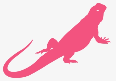Silhouette Bearded Dragon Outline, HD Png Download, Transparent PNG
