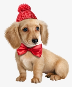Puppy Pictures Puppy Images Dogs And Puppies Cute- - Png Hd Cute Puppy, Transparent Png, Transparent PNG