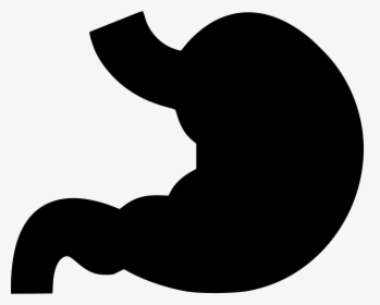 Svg Png Icon Free - Stomach Icon, Transparent Png, Transparent PNG