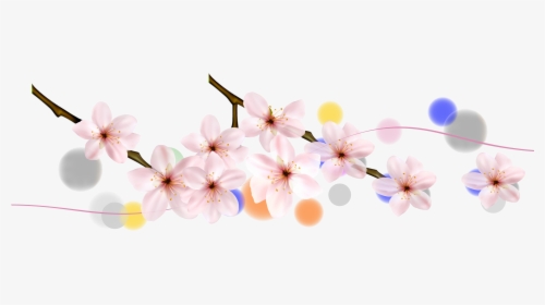 Cherry Blossom Petal Flower Cherry Blossom - Cherry Blossom, HD Png Download, Transparent PNG