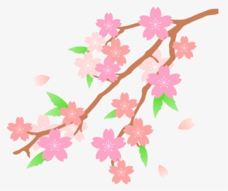 Petal,cut Flowers,twig - Transparent Cherry Blossom Drawn, HD Png Download, Transparent PNG