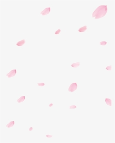 Cherry Blossom Petal Png - Cherry Blossom Petals Png, Transparent Png, Transparent PNG