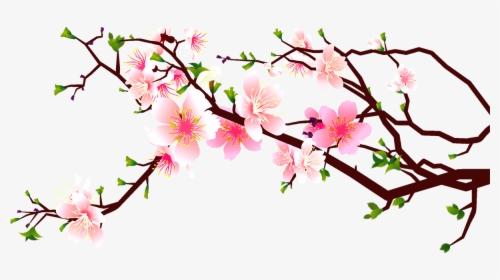 Cherry Blossom Peach Clip Art Decoration - Cherry Blossom Transparent Clipart, HD Png Download, Transparent PNG