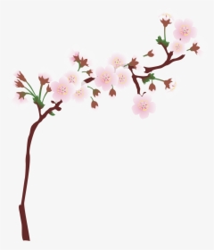 Transparent Cherry Blossom Png - Cherry Blossom Border Clip Art, Png Download, Transparent PNG