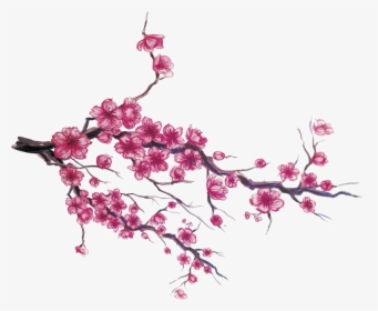 Japan Cherry Blossom Download - Drawing Japanese Cherry Blossom, HD Png Download, Transparent PNG