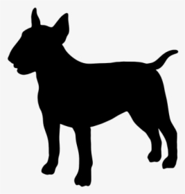 Staffordshire Bull Terrier Boston Terrier Bulldog Pit - Bull Terrier Png, Transparent Png, Transparent PNG