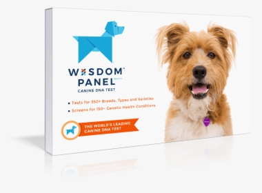 Get Started White - Wisdom Panel, HD Png Download, Transparent PNG