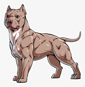 Blue Nosed Pitbull Terrier, HD Png Download, Transparent PNG