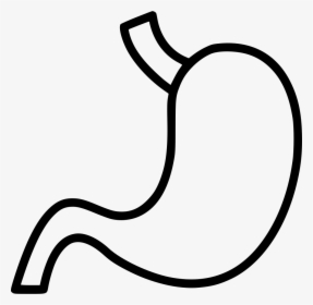 Svg Png Icon Free - Stomach Free Png Download, Transparent Png, Transparent PNG