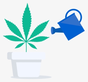 Transparent Weed Symbol Png - Marijuana Leaf, Png Download, Transparent PNG