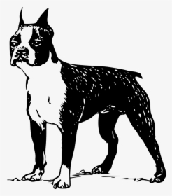 Clipart Boston Terrier Silhouette, HD Png Download, Transparent PNG